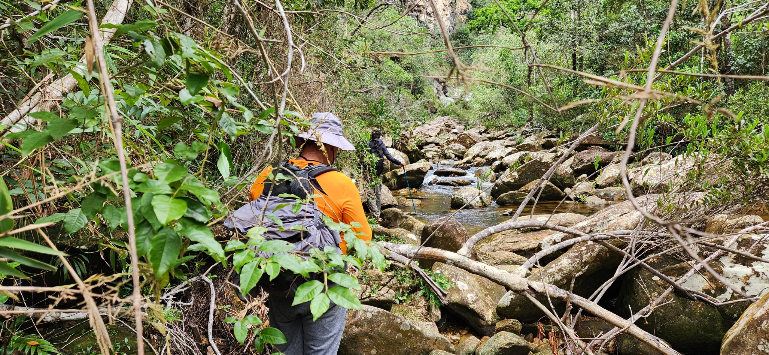 varar mato glossário trilha Minas Gerais