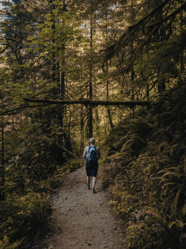 karsten-winegeart-BdGIjLnRRn0-unsplash (1)