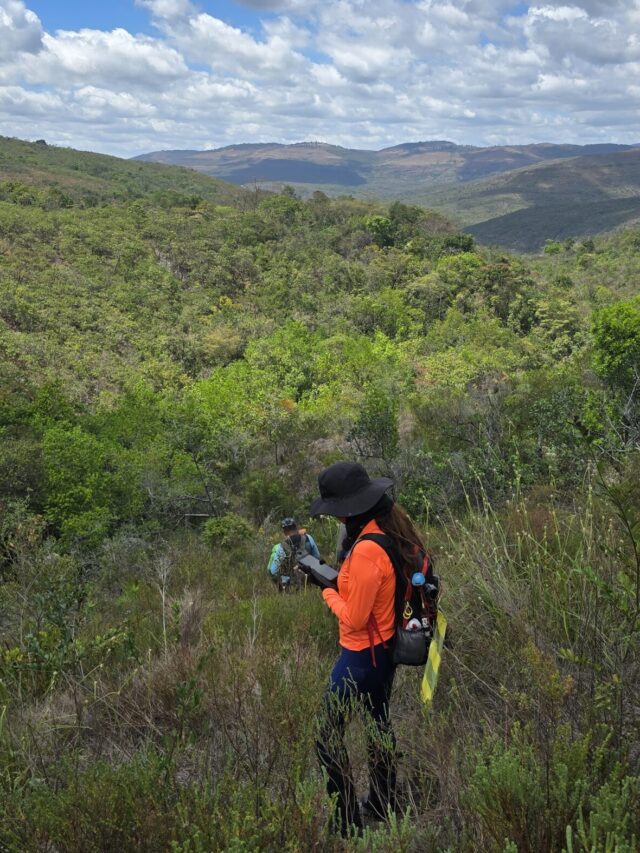 Prefere trilhas curtas ou médias?